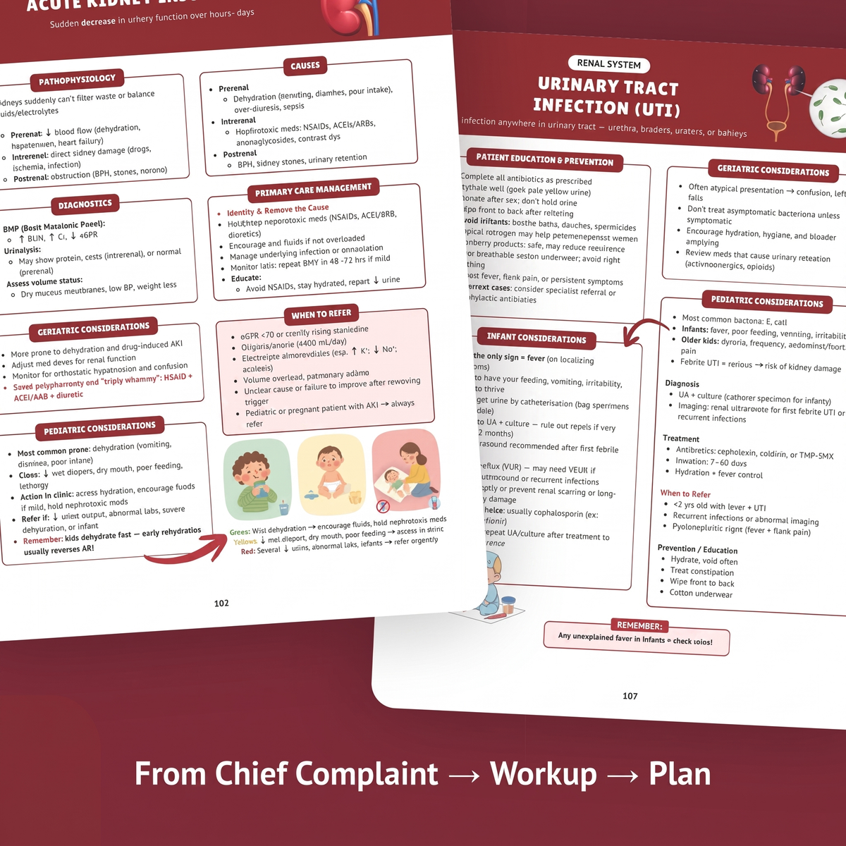 Essential Family Nurse Practitioner Guide